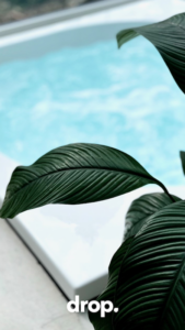 Drop, jacuzzi et spa design